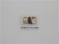 藏品(金龜子科)的圖片